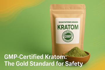 GMP Certified Kratom: Gold Standard Safety Guide