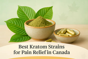 Featured image for Best Kratom Strains for Pain Relief in Canada