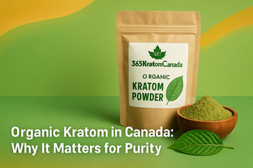 Featured image for Organic Kratom Canada: Why Purity Matters Most