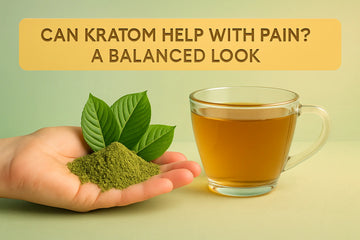 Featured image for Can Kratom Help with Pain? A Balanced Look