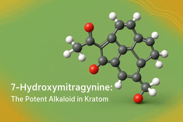 Featured image for 7-Hydroxymitragynine: Kratom's Most Potent Alkaloid