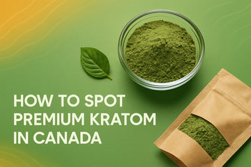 Featured image for How to Spot Premium Kratom Canada: Quality Guide