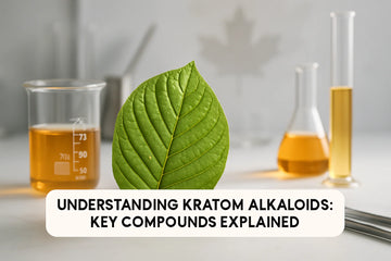 Featured image for Understanding Kratom Alkaloids: Key Compounds Guide