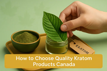 Featured image for How to Choose Quality Kratom Canada: Expert Guide
