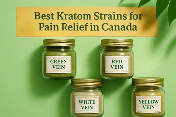 Featured image for Best Kratom for Pain Relief in Canada 2024