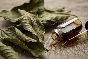 7-OH vs Traditional Kratom Tea: What's the Difference?