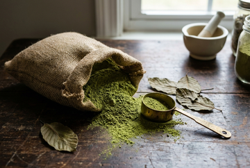 Green Malay Kratom Explained: A Popular All-Day Strain