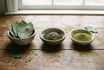 How Kratom Is Processed: From Leaf to Powder