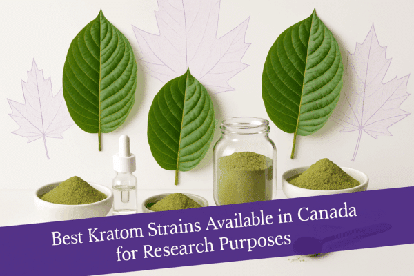 Best Kratom Strains Canada: Research Guide 2025