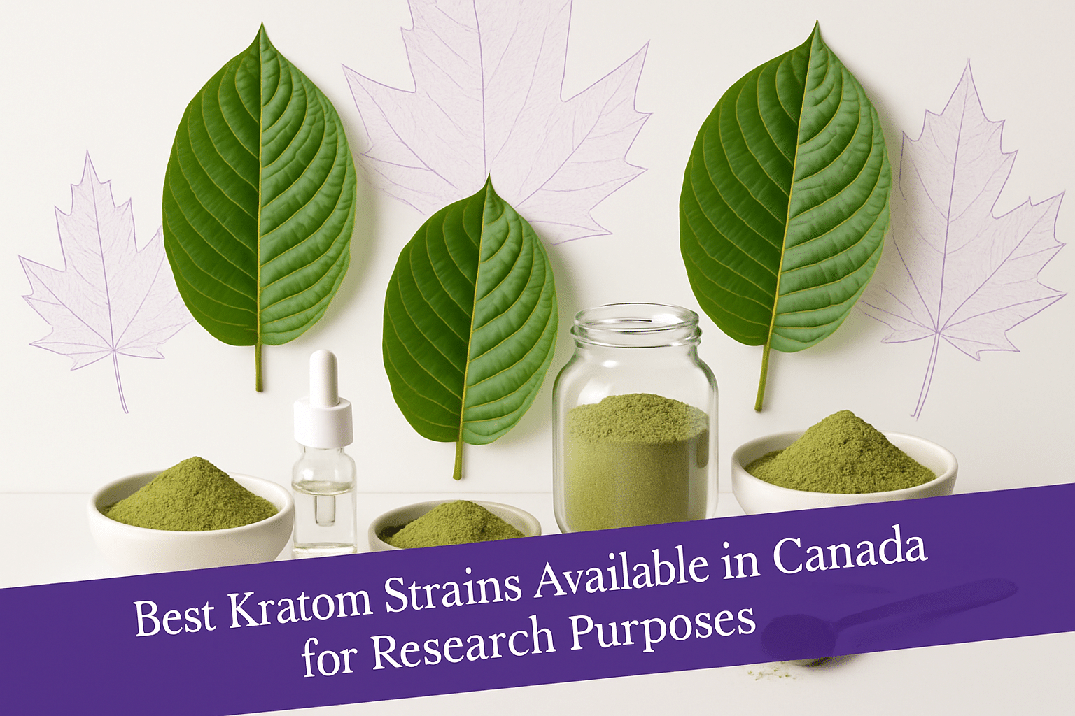 Best Kratom Strains Canada: Research Guide 2025