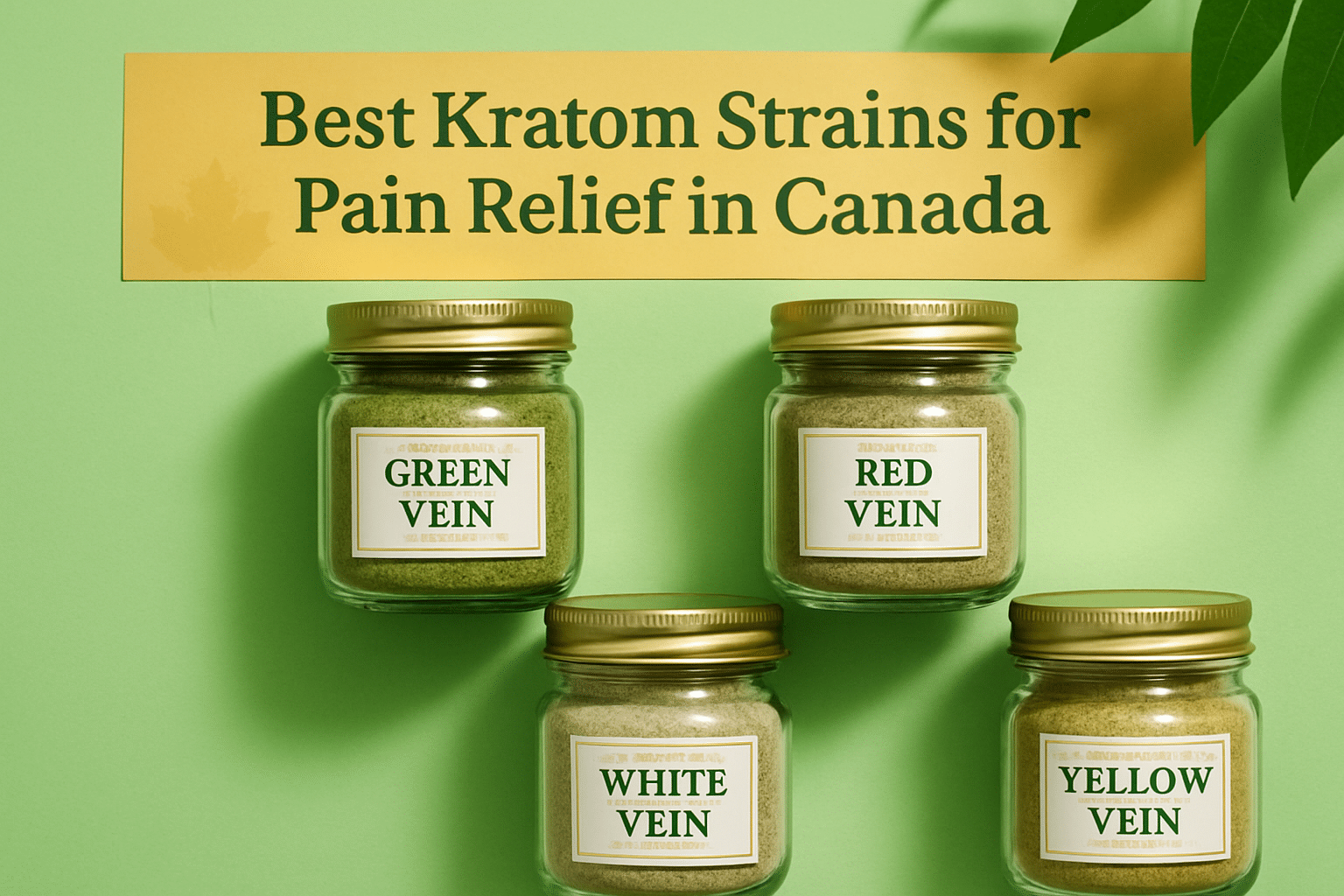 Best Kratom for Pain Relief in Canada 2024